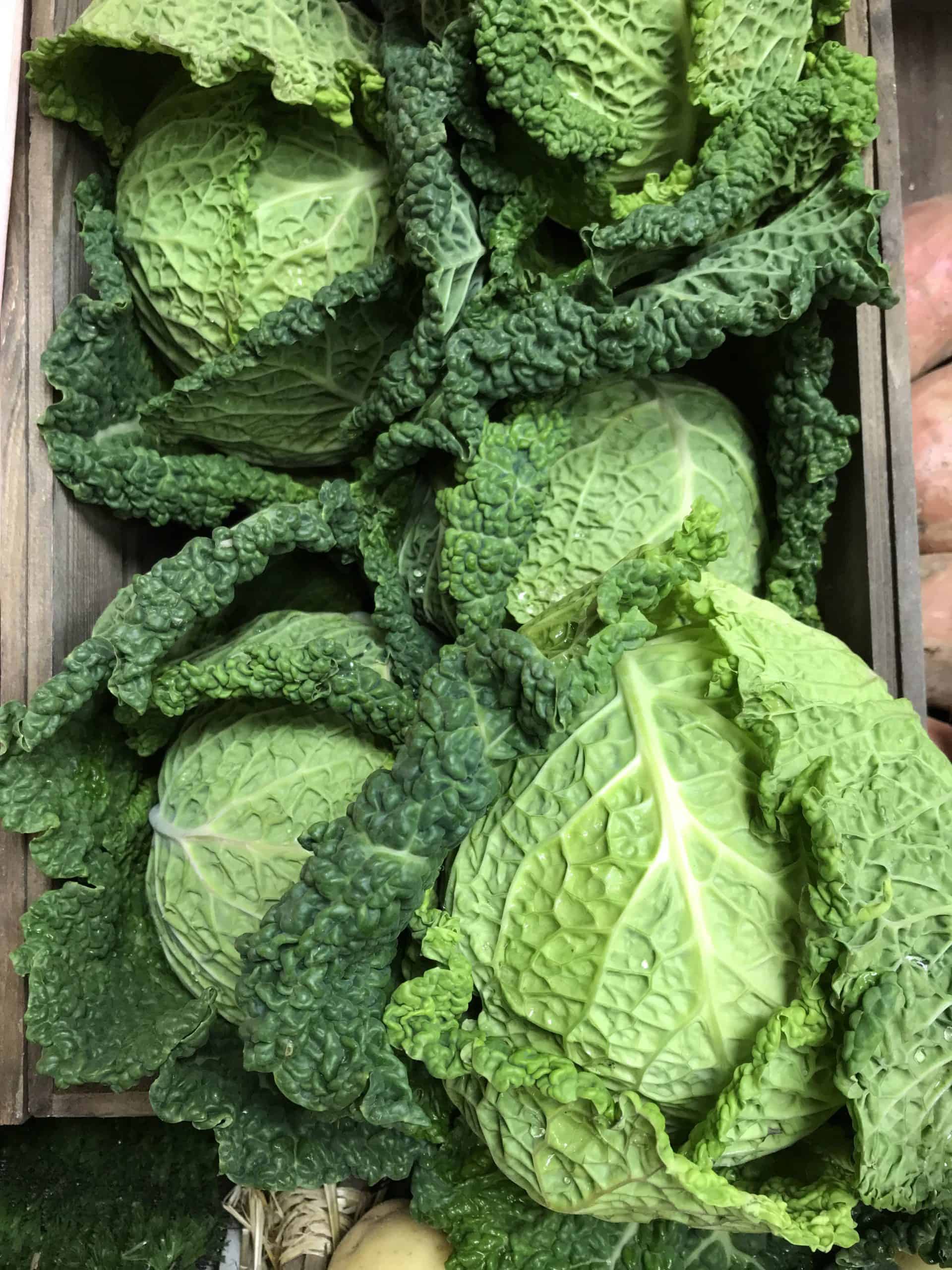 Cabbage Each Savoy Cabbage (each) - RossCo