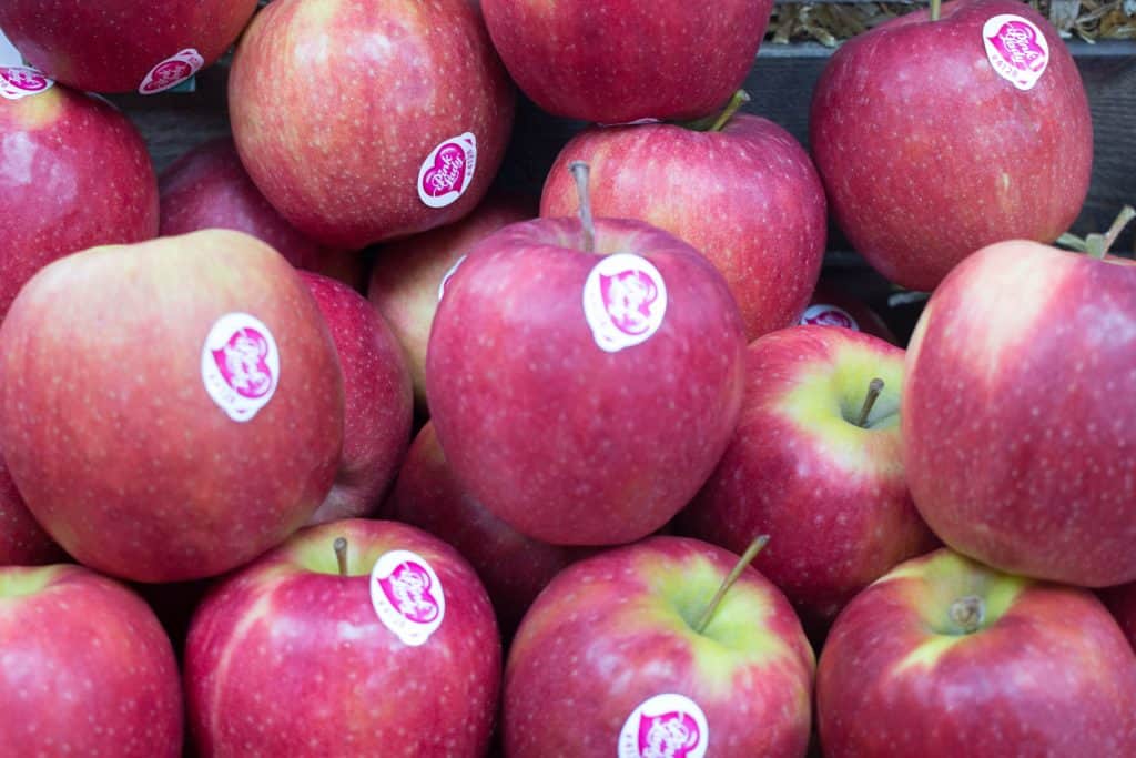 apples-pink-lady