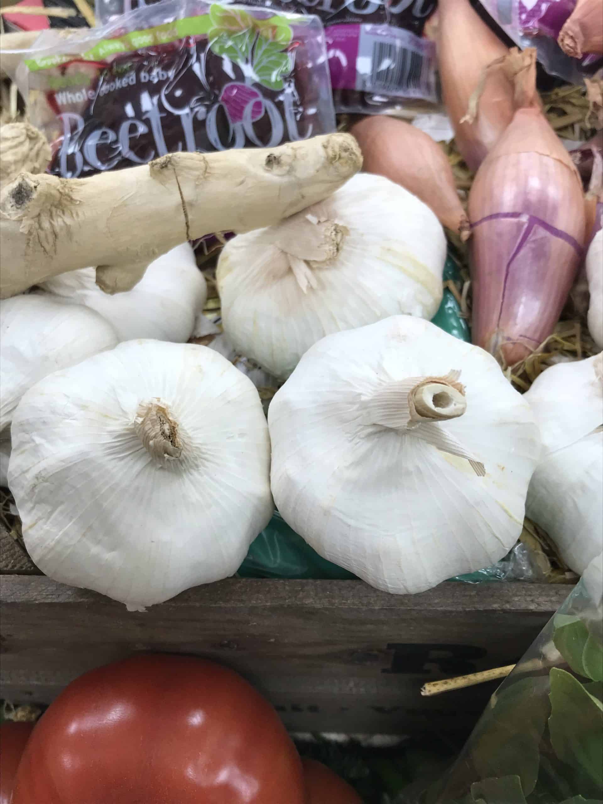 jumbo-garlic
