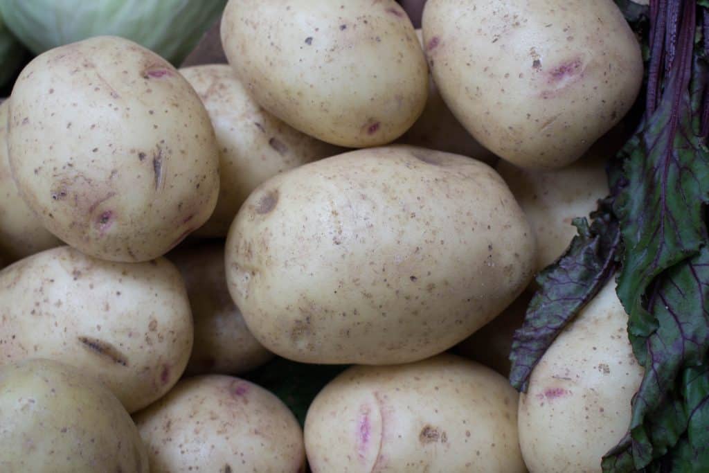 potato-maris-piper